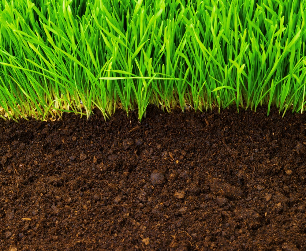 Soil Biology and Health - BioActive Soils