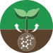 Plant Nutrition - BioActive Soils