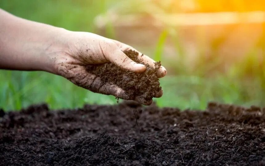 Soil Health - BioActive Soils