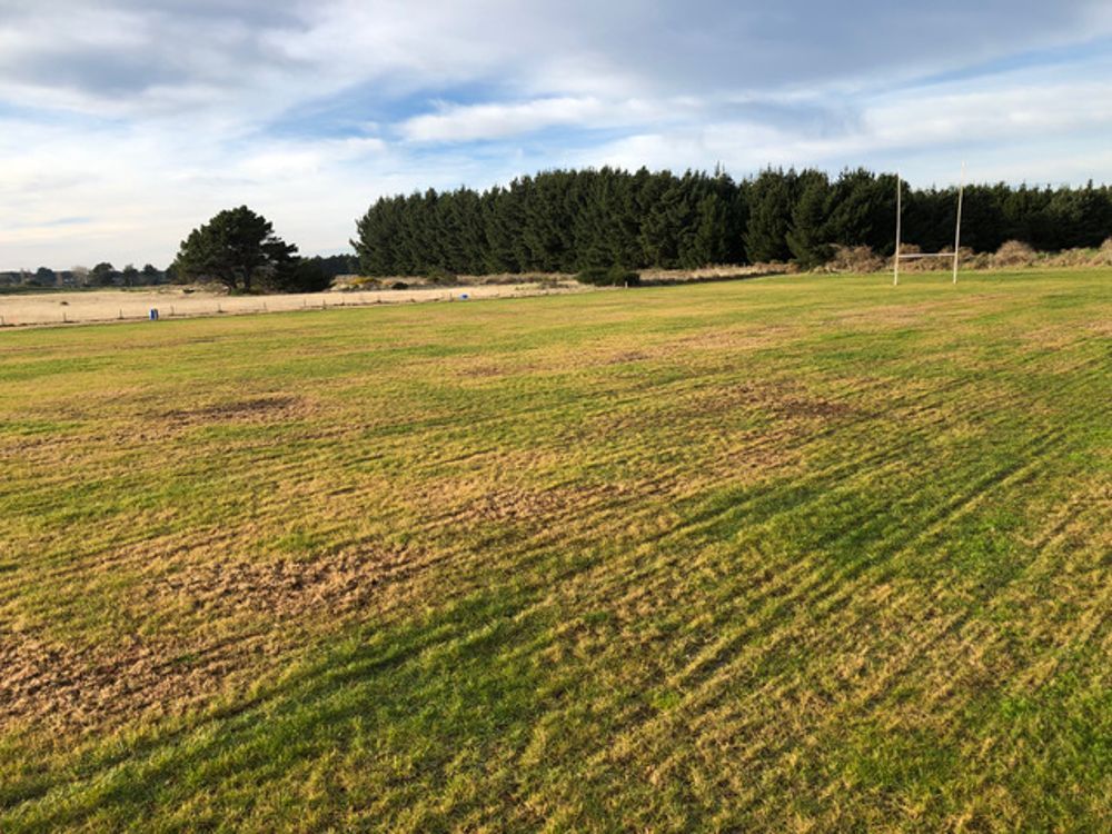 Sandy Point Rugby Grounds Grass grub Central BioActive treated & untreated